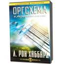 CD Оргсхема и жизнедеятельность